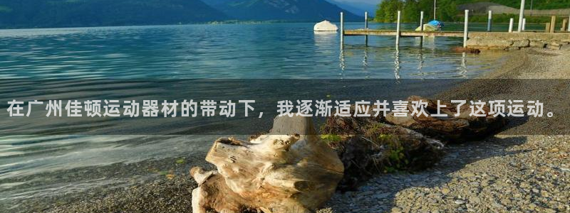 意昂平台体育