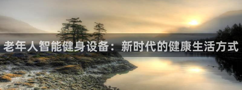 意昂4五金厂：老年人智能健身设备：新时代的健康生活方