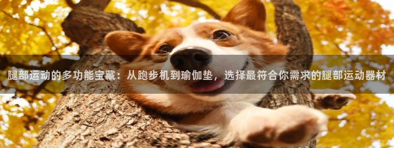 意昂体育4联系电话：腿部运动的多功能宝藏：从跑步机到