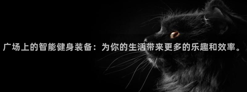 意昂体育4官方客服电话：广场上的智能健身装备：为你的