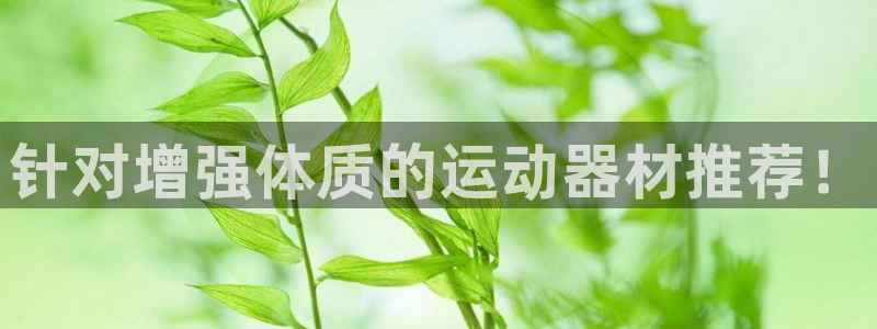 意昂4娱乐代理怎么样：针对增强体质的运动器材推荐！