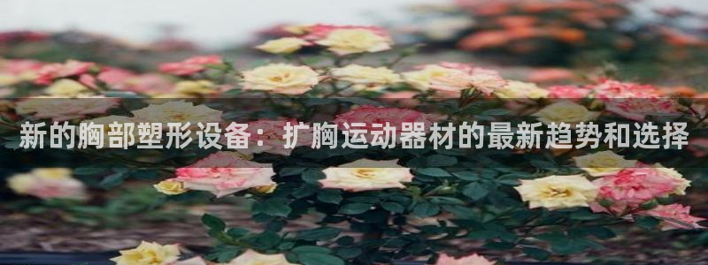 海南意昂体育4发展怎么样：新的胸部塑形设备：扩胸运动