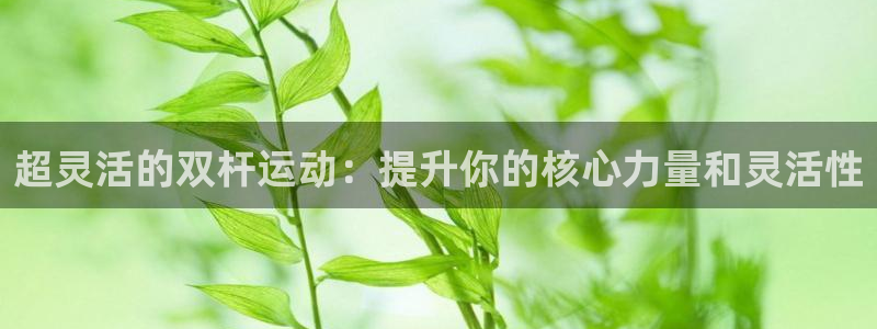 意昂体育4是干嘛的公司：超灵活的双杆运动：提升你的核