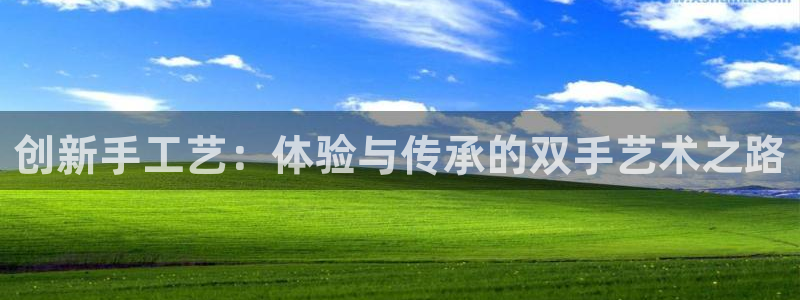 意昂体育4平台APP：创新手工艺：体验与传承的双手艺