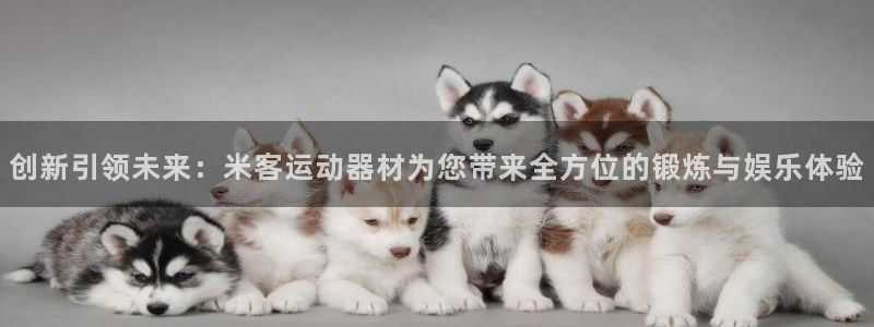 意昂体育4软件：创新引领未来：米客运动器材为您带来全