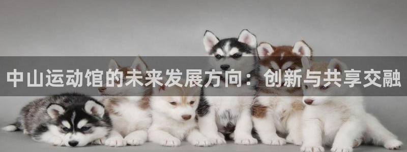 意昂体育4招商电话地址是多少
