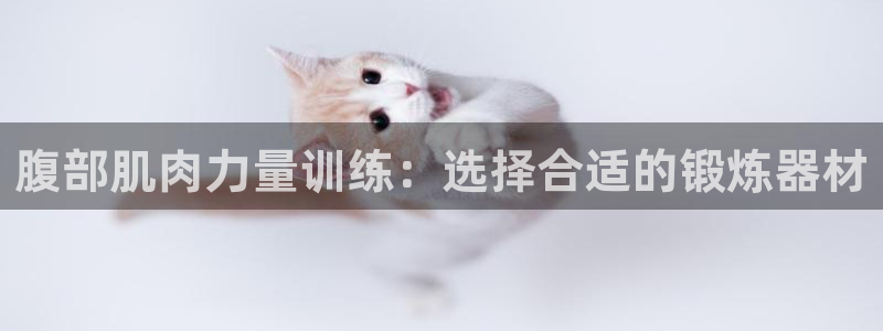 意昂体育4平台注册流程图：腹部肌肉力量训练：选择合适