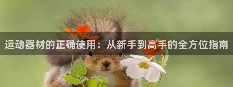 意昂体育4平台是正规平台吗知乎