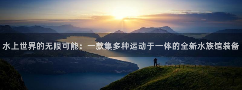 意昂4新能源