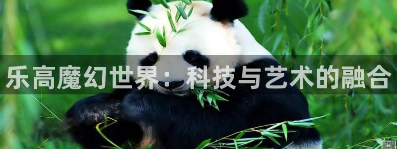 意昂4娱乐首页网站大全：乐高魔幻世界：科技与艺术的融合