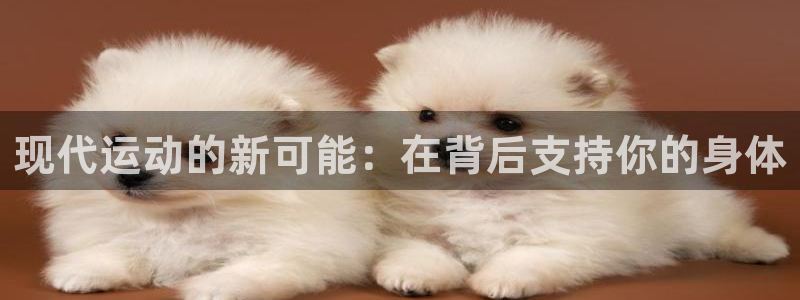 意昂体育4开户：现代运动的新可能：在背后支持你的身体