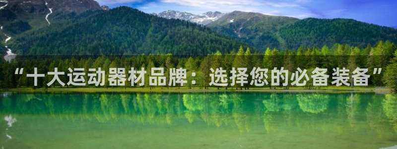 意昂4娱乐首页网站大全：“十大运动器材品牌：选择您的必备装备