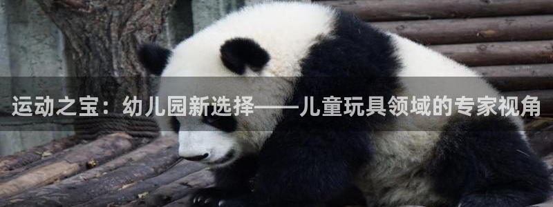 意昂4集团官网首页网址：运动之宝：幼儿园新选择——儿