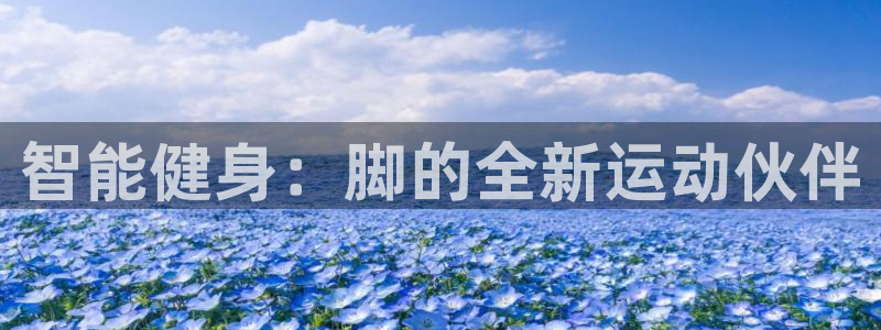 意昂体育4是干嘛的公司
