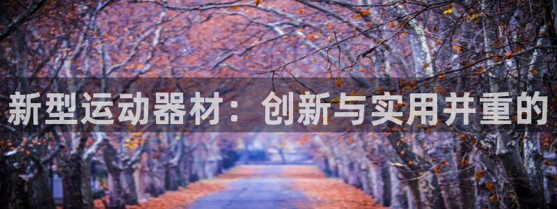 意昂体育4招商电话是多少：新型运动器材：创新与实用并重的