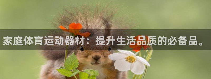 意昂体育4注册：家庭体育运动器材：提升生活品质的必备