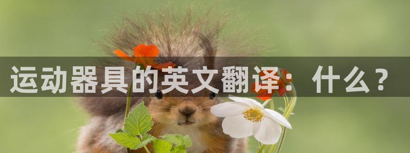 意昂体育4招商电话号码查询：运动器具的英文翻译：什么？