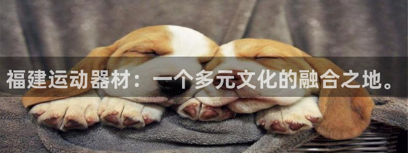 意昂体育4平台注册流程图：福建运动器材：一个多元文化的融合之