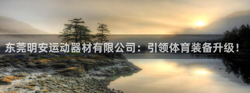 意昂体育4平台是正规平台吗：东莞明安运动器材有限公司：引领体