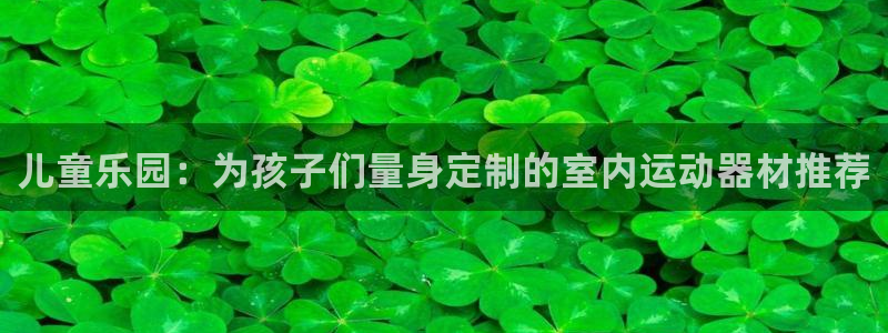 意昂体育4平台APP：儿童乐园：为孩子们量身定制的室内运动器