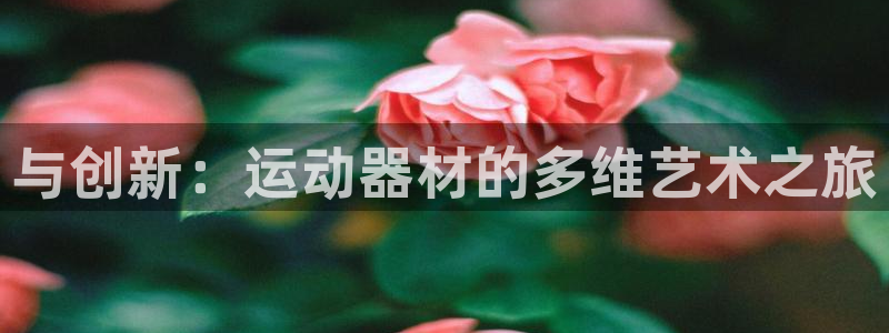 意昂体育4招商电话号码是多少啊：与创新：运动器材的多维艺术之