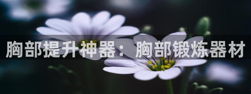 意昂集团官网：胸部提升神器：胸部锻炼器材