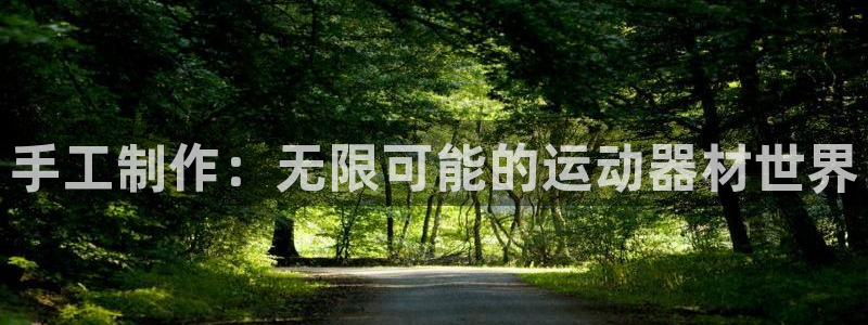 意昂体育4招商电话地址是多少：手工制作：无限可能的运动器材世