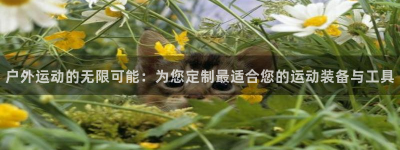 意昂4集团简介：户外运动的无限可能：为您定制最适合您的运动装