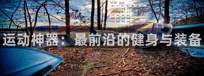 意昂4神州：运动神器：最前沿的健身与装备