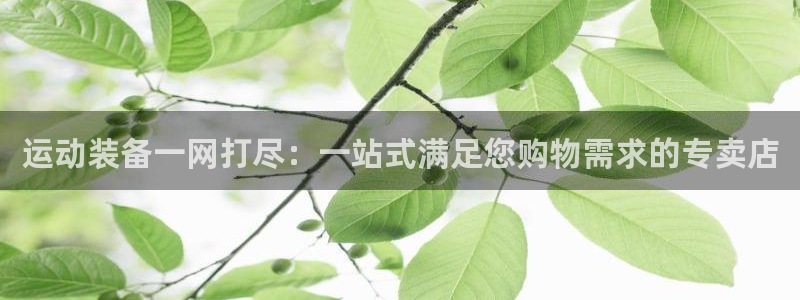 意昂体育4招商电话号码是多少号:运动装备一网打尽:一站式满足