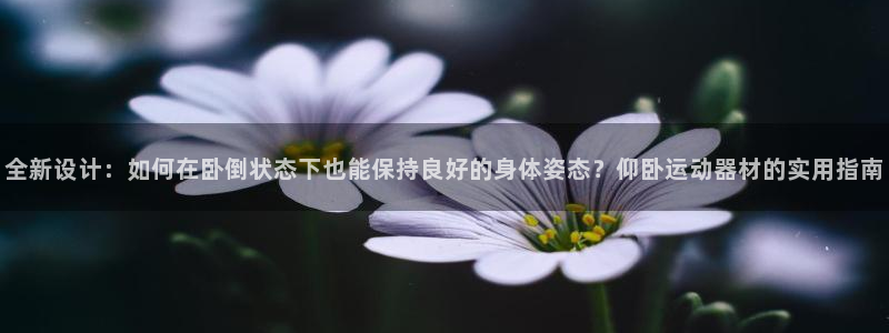 意昂4神州：全新设计：如何在卧倒状态下也能保持良好的身体姿态