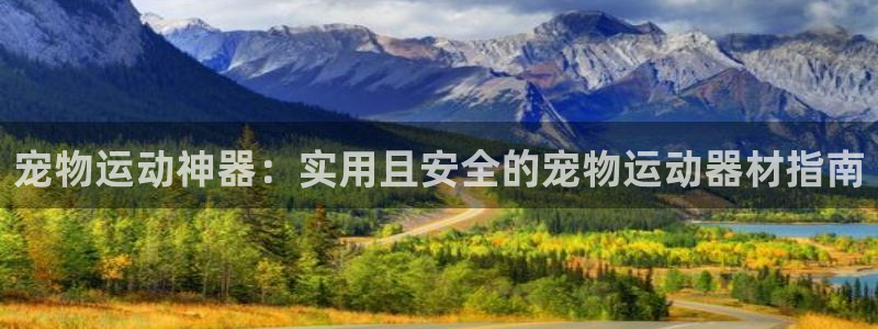 意昂集团官网：宠物运动神器：实用且安全的宠物运动器材