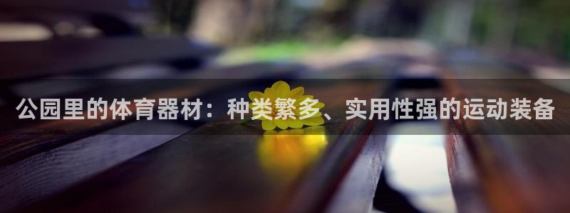 意昂体育4平台是正规平台吗安全吗:公园里的体育器材:种类繁多