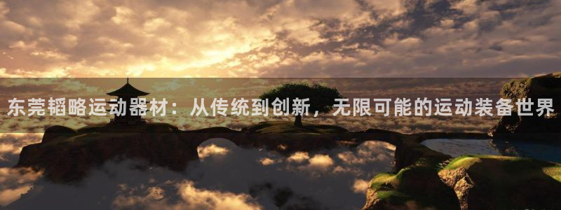 意昂4集团官网首页:东莞韬略运动器材:从传统到创新,无限可能
