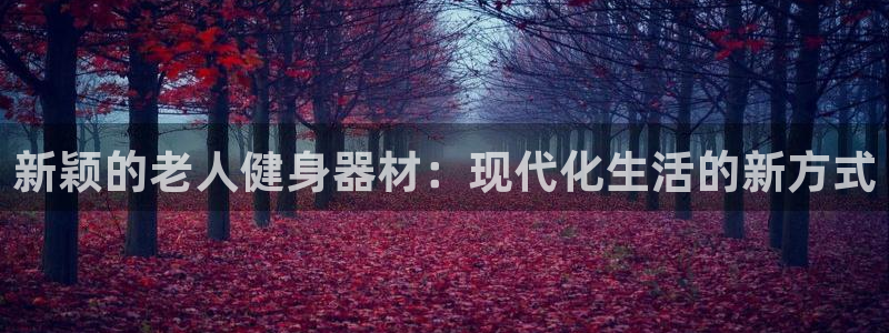 意昂体育4招商电话号码：新颖的老人健身器材：现代化生