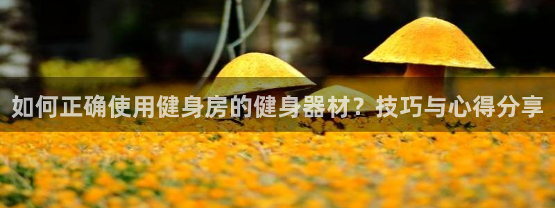 意昂4娱乐代理怎么样：如何正确使用健身房的健身器材？