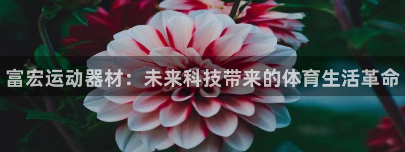意昂体育4平台注册流程图：富宏运动器材：未来科技带来的体育生