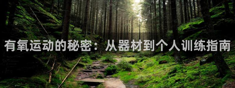 意昂4集团E.ON：有氧运动的秘密：从器材到个人训练指南