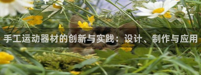 意昂体育4软件：手工运动器材的创新与实践：设计、制作与应用