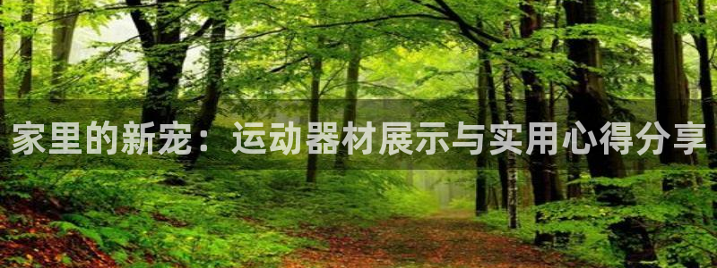 海南意昂体育4发展怎么样
