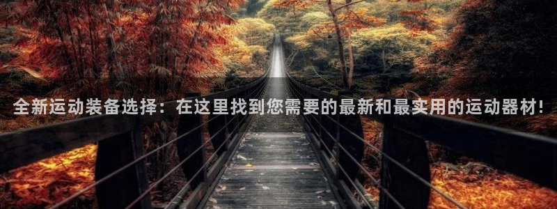 意昂4集团E.ON