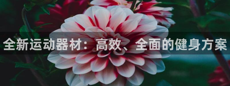 意昂体育4平台是正规平台吗安全吗