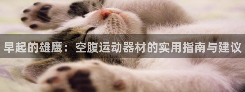 意昂体育4软件