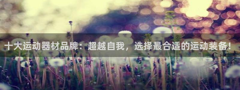 意昂4集团简介：十大运动器材品牌：超越自我，选择最合适的运动