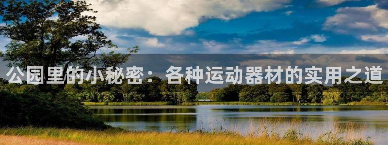 意昂体育4平台APP：公园里的小秘密：各种运动器材的实用之道