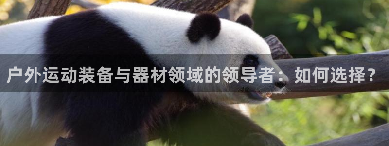 意昂4神州：户外运动装备与器材领域的领导者：如何选择？