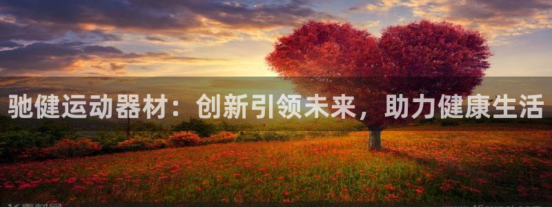 意昂体育4是干嘛的公司：驰健运动器材：创新引领未来，