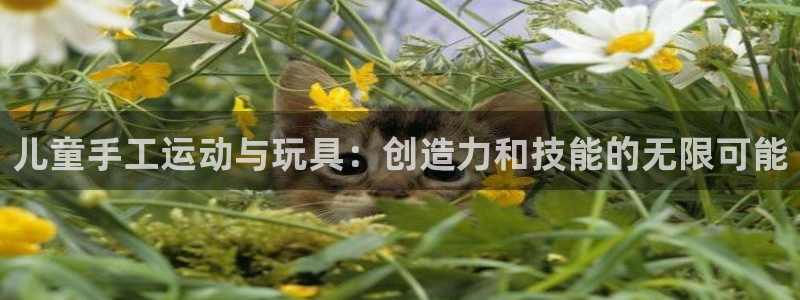 意昂4科技：儿童手工运动与玩具：创造力和技能的无限可