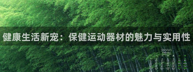 意昂4官网：健康生活新宠：保健运动器材的魅力与实用性